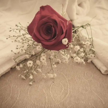 Balneario De Compostela מלון Brion