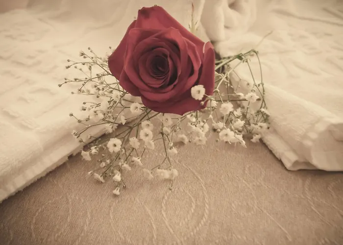 Balneario De Compostela Hotel Brion